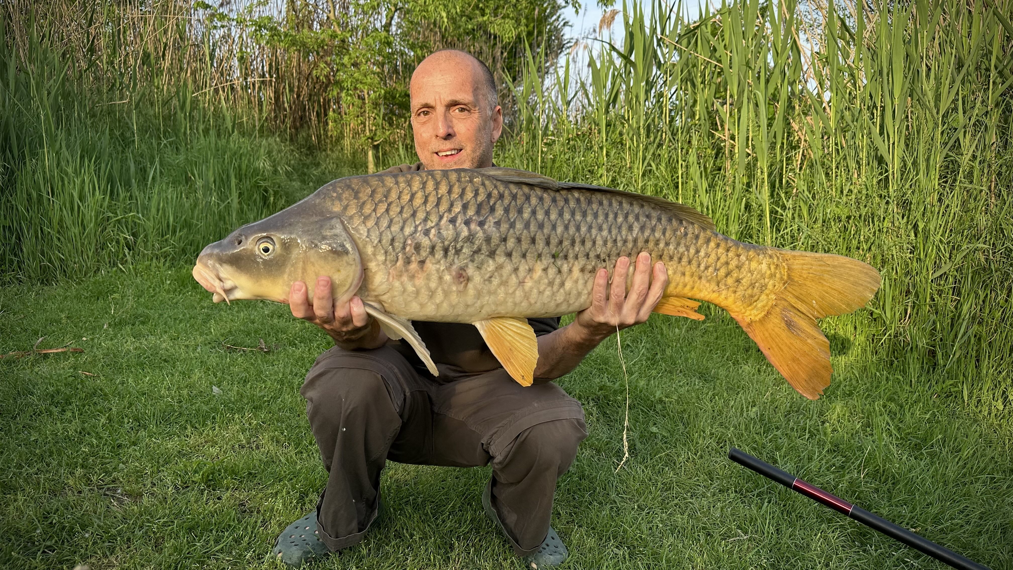 Carpa Valdaro